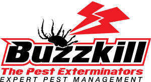 buzzkill
