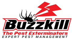 BuzzKill Pest control Brisbane